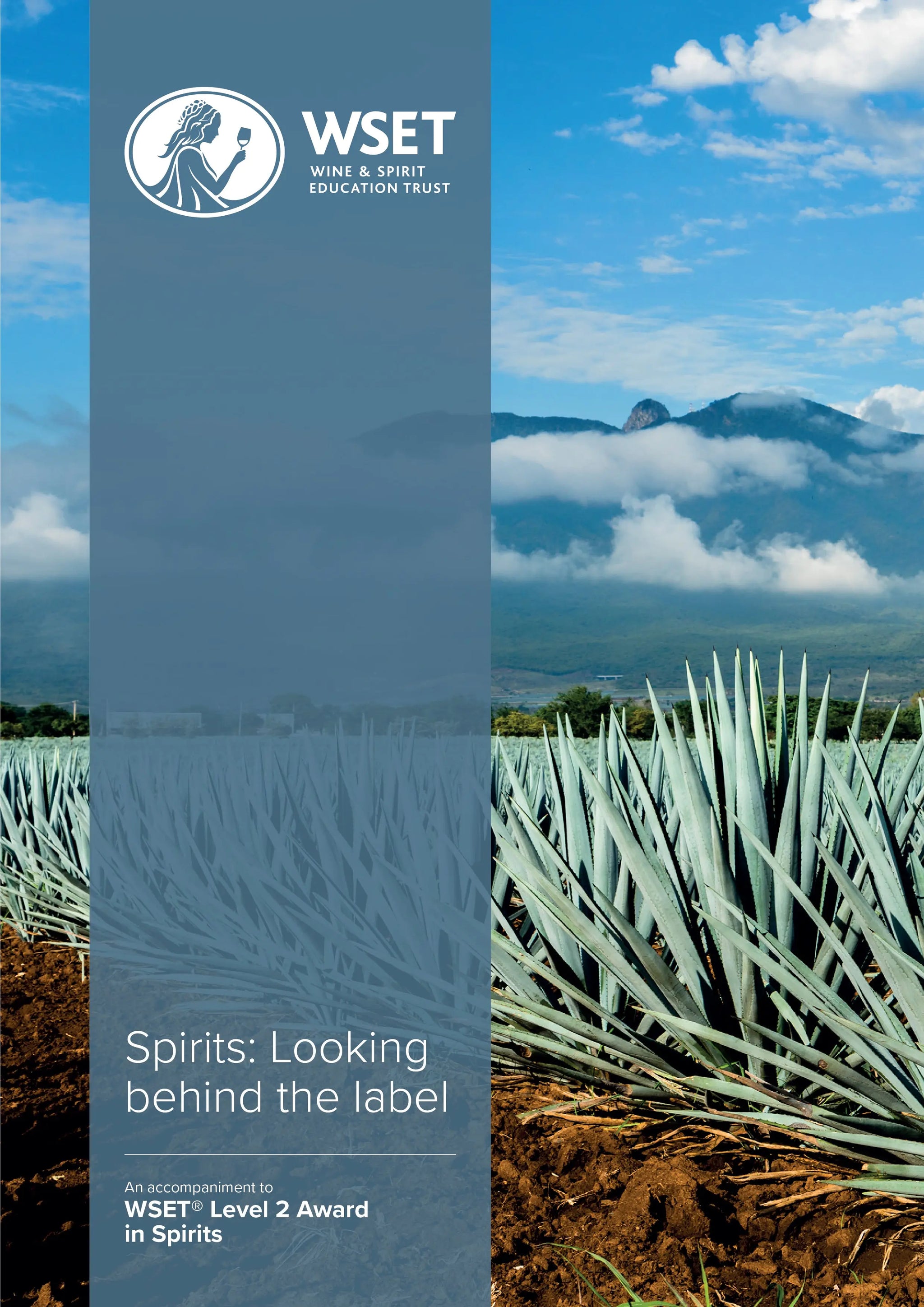 WSET Level 2 Award in Spirits - Vinspire Academy Ireland